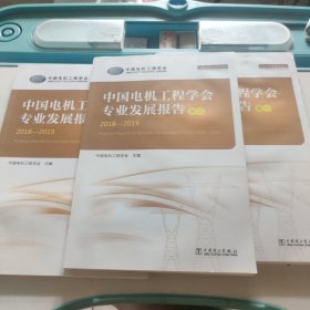 中国电机工程学会专业发展报告2018-2019(共三卷)