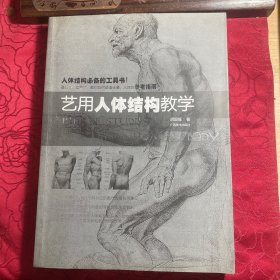 艺用人体结构教学