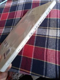 民事执行实务难题梳理与解析