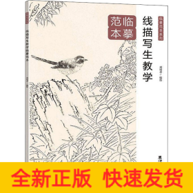 線描寫生教學(xué)臨摹范本