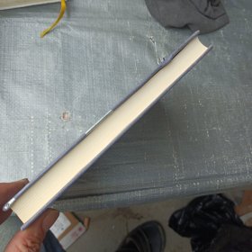 要塞/成为小王子系列