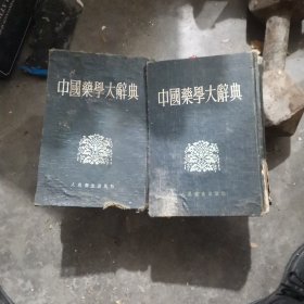 中国药学大辞典