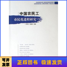 中国农民工市民化进程研究