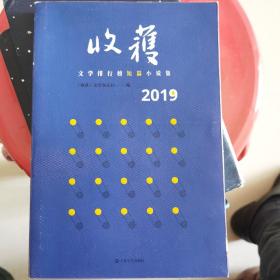 2019收获文学排行榜短篇小说集（迟子建黄锦树邵丽李宏伟戈舟双雪涛蔡东宁肯张惠雯