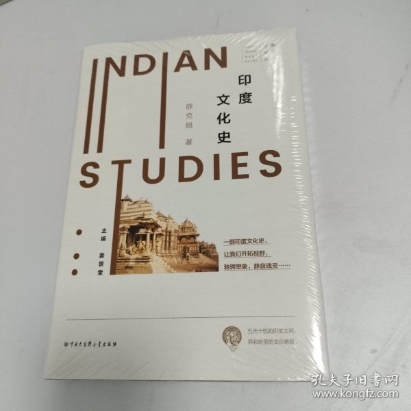 印度研究丛书——印度文化史