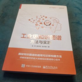 工业级知识图谱：方法与实践（全彩）(博文视点出品)