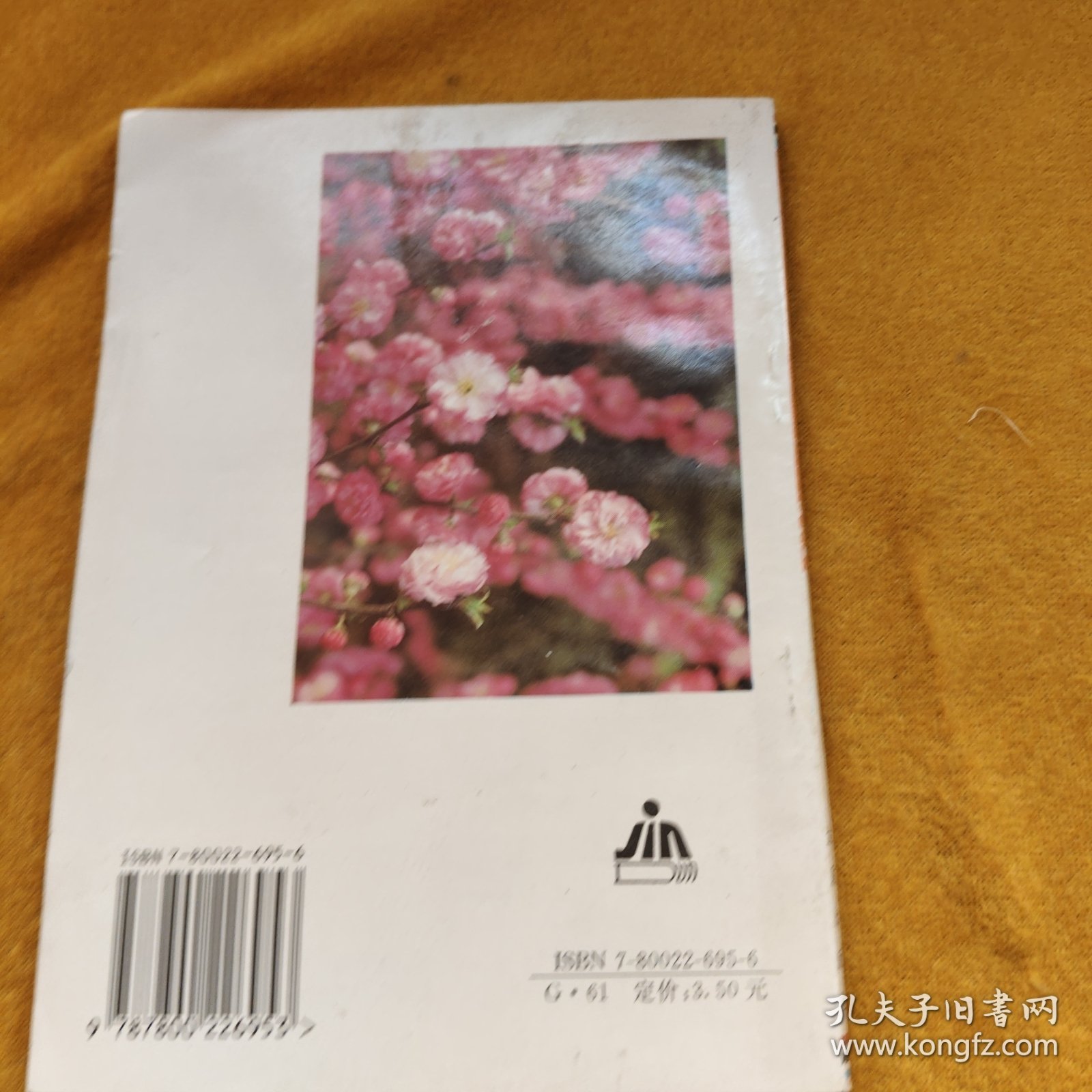 古词名篇钢笔字帖