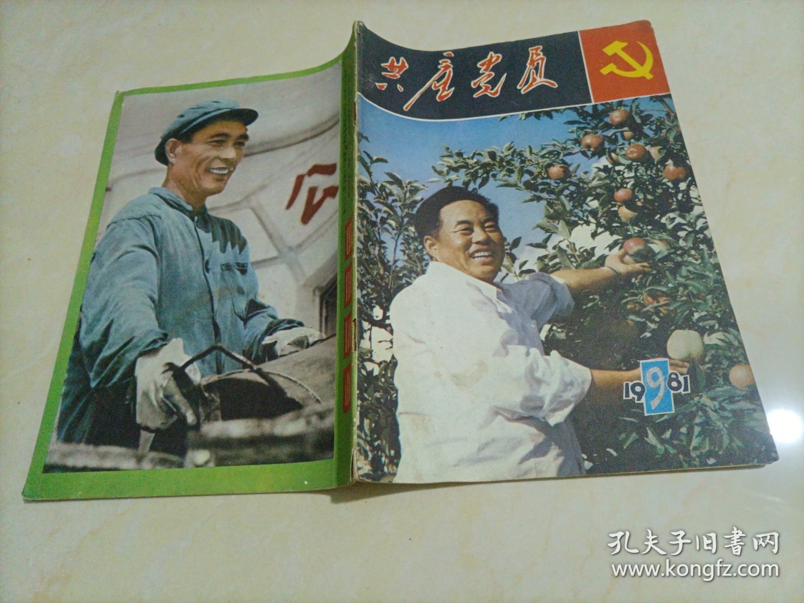 共产党员（1981年第9期）【另有其它年份出让，欢迎选购】