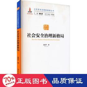 社会安全治理新格局/公共安全治理新格局丛书