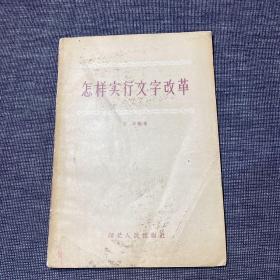 怎样实行文字改革