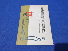植物标本制作