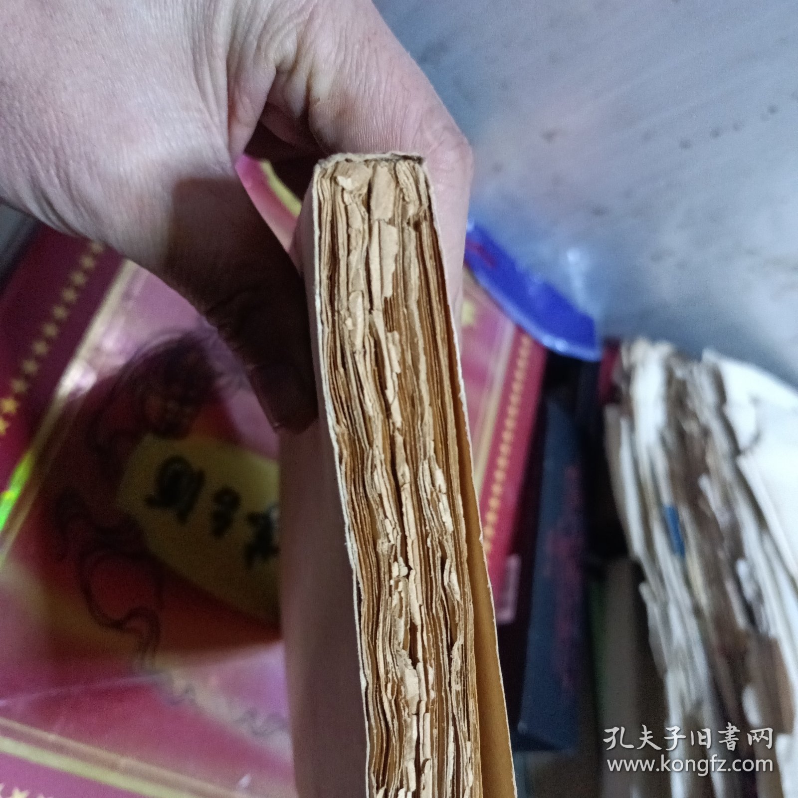 新俄大学生日记-毛边书1929年