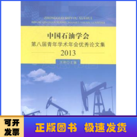 中国石油学会第八届青年学术年会优秀论文集（2013）