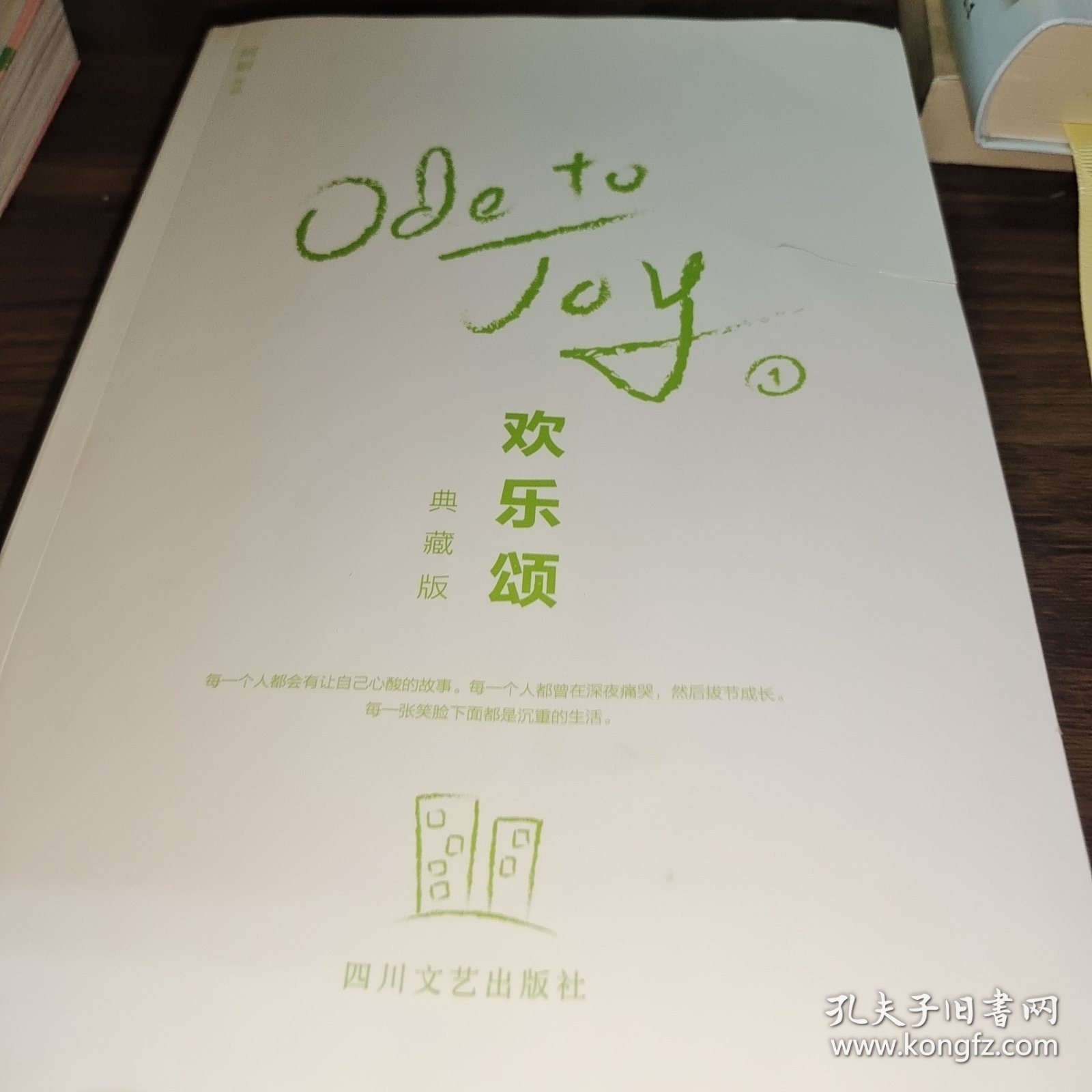 欢乐颂：刘涛、王凯主演电视剧原著小说