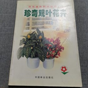 珍奇观叶花卉