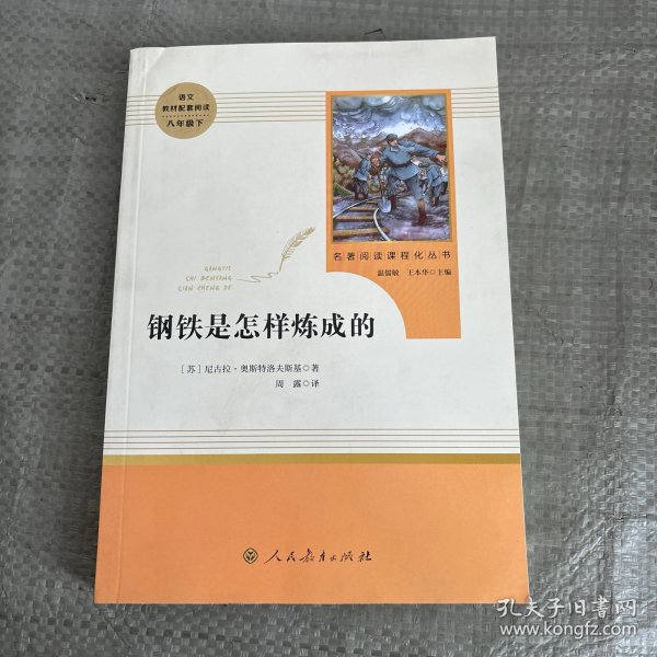 统编语文教材配套阅读 八年级下：钢铁是怎样炼成的/名著阅读课程化丛书