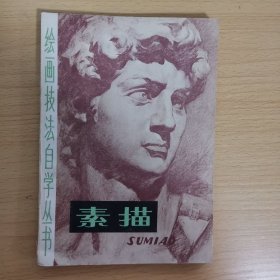 绘画技法自学丛书