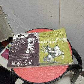 戴焕章传奇（回龙腾蛟+风云际会）