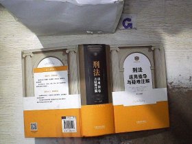 刑法适用指导与疑难注解