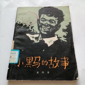 小黑马的故事