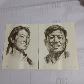 张泉素描2张(16开，印刷品，70年代老纸品)