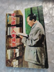 中国第一人毛泽东 花城出版社