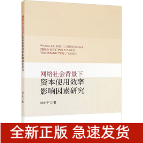 网络社会背景下资本使用效率影响因素研究