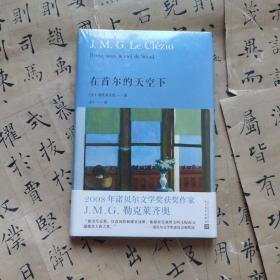 在首尔的天空下（诺贝尔文学奖获奖者勒克莱齐奥探索首尔的人情故事，这里有贫困也有病痛，但文学给人安慰）