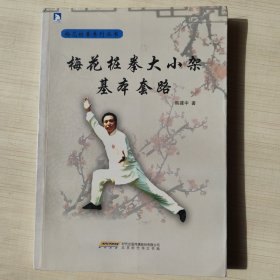 梅花桩拳大小架基本套路