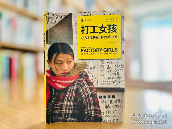 打工女孩：从乡村到城市的变动中国