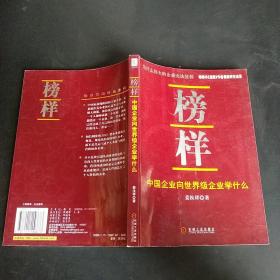 榜样：中国企业向世界级企业学什么