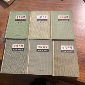 金陵春梦1一6册