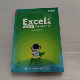 Excel之光：高效工作的Excel完全手册