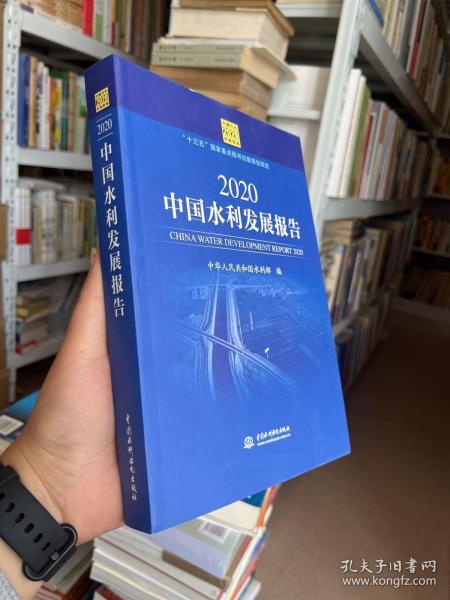 2020中国水利发展报告