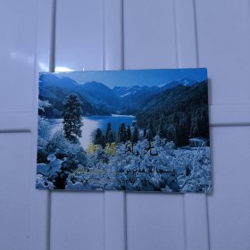 新疆风光邮资明信片（10张）