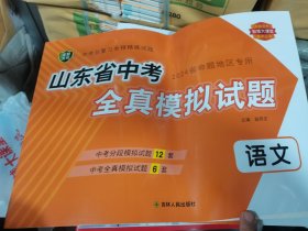 智慧大课堂中考总复习全程精练试题语文