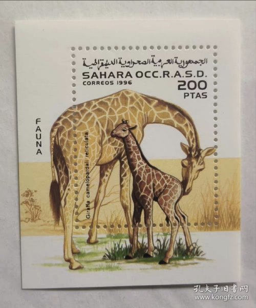 保真 野生动物邮票 长颈鹿 小型张 撒哈拉邮政 1996年新票收藏 保护动物 喜欢外国邮票的朋友不要错过哦，欢迎来我店铺做客聊天，不定期更新中记得关注我