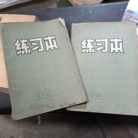 两个练习本 记录中药内容