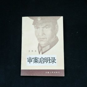 审案启明录