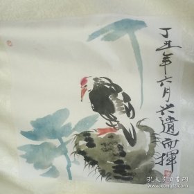 陈子庄小鸟-看人