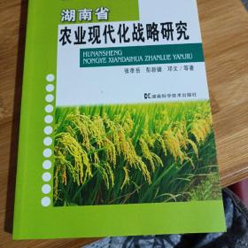 湖南省农业现代化战略研究
