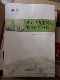 印度尼西亚投资环境分析报告