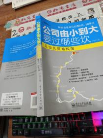 公司由小到大要过哪些坎：—解密创业企业成长经营3阶段、10基因；宋新宇推荐“能长大的企业是有规律的，中小企业的成长地图”； 7大本土全景案例.博瑞森