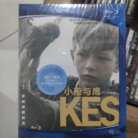原版电影光盘《小孩与鹰》（ Cc标准版） RBD-D蓝光 特别收藏版本高清画质和音质 25 gb 全新未拆封
