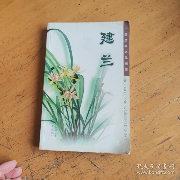 中国兰花名品档案：建兰