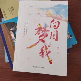 白日梦我