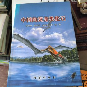 中國的翼龍類化石