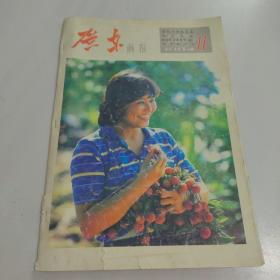 广东画报1982年第11期