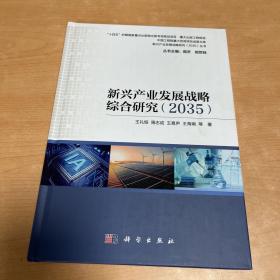 新兴产业发展战略综合研究（2035)