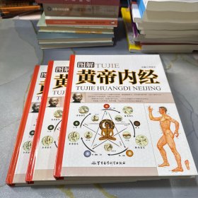 图解黄帝内经 上中下